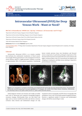 Intravascular Ultrasound (IVUS) for Deep Venous Work - Want Or Need?