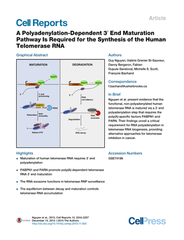 A Polyadenylation-Dependent 3″ End