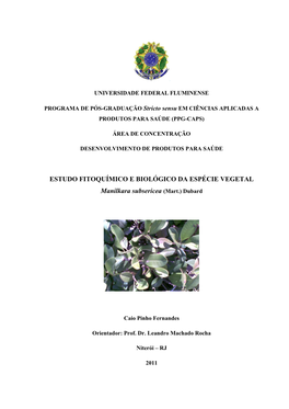 ESTUDO FITOQUÍMICO E BIOLÓGICO DA ESPÉCIE VEGETAL Manilkara Subsericea (Mart.) Dubard