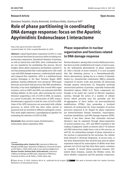 Role of Phase Partitioning in Coordinating DNA Damage Response: Focus on the Apurinic Apyrimidinic Endonuclease 1 Interactome