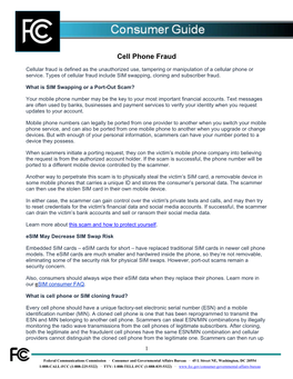 Cell Phone Fraud