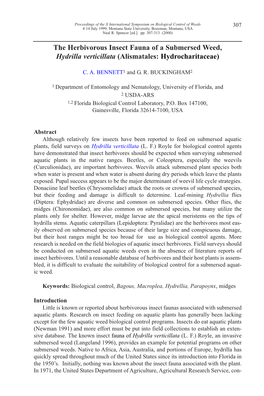 The Herbivorous Insect Fauna of a Submersed Weed, Hydrilla Verticillata (Alismatales: Hydrocharitaceae)