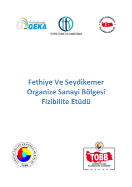 Fethiye Ve Seydikemer Organize Sanayi Bölgesi Fizibilite Etüdü