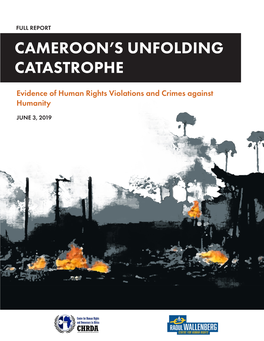 Cameroon's Unfolding Catastrophe