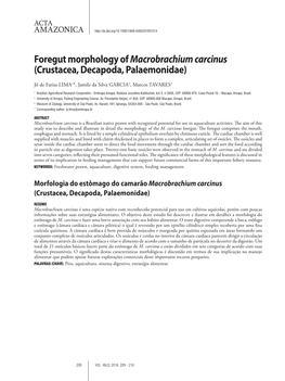 Foregut Morphology of Macrobrachiumcarcinus