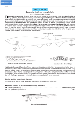 Echinorhinus Brucus B) Echinorhinus Cookei Fig