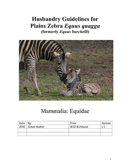 Plains Zebra Equus Quagga (Formerly Equus Burchelli)