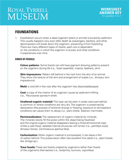 Foundations Worksheet Answer