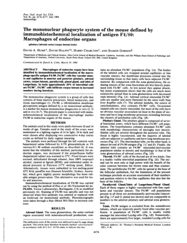 The Mononuclear Phagocyte System of the Mouse Defined By