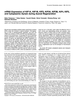 Mrna Expression of KIFIA, KIFIB, KIF2, KIF3A, KIF3B, KIF4, KIF5, and Cytoplasmic Dynein During Axonal Regeneration