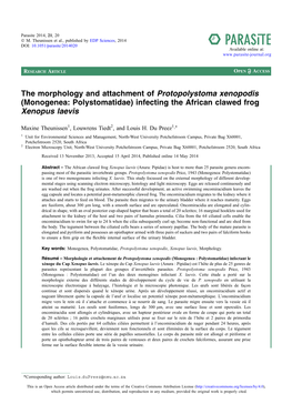 Monogenea: Polystomatidae) Infecting the African Clawed Frog Xenopus Laevis