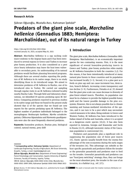 Predators of the Giant Pine Scale, Marchalina Hellenica (Gennadius 1883; Hemiptera: Marchalinidae), out of Its Natural Range in Turkey