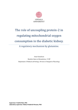 The Role of Uncoupling Protein-2 in Regulating Mitochondrial Oxygen