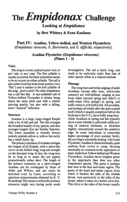 The Empidonax Challenge Looking at Empidonux by Bret Whitney & Kern Kaufman