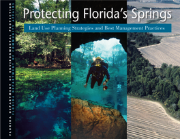 Protecting Florida's Springs