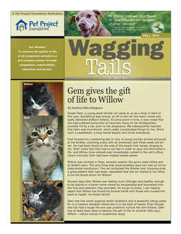 Gem Gives the Gift of Life to Willow by Marlene Mills-Margeson Sweet Gem, a Young Adult Female Cat Came to Us As a Stray in April of Gem This Year