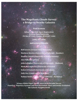 The Magellanic Clouds Survey