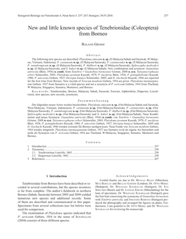 New and Little Known Species of Tenebrionidae (Coleoptera) from Borneo