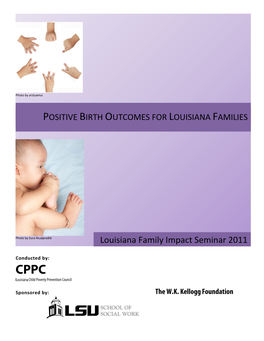 Positive Birth Outcomes for Louisiana Families (Briefing Report) (Pdf)