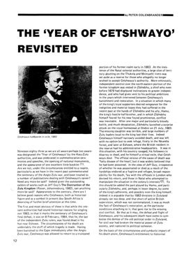 The 'Year of Cetshwayo' Revisited