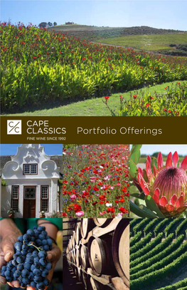 Portfolio Offerings SOUTH AFRICA