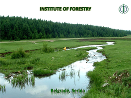 Institute of Forestry Was Founded in 1946