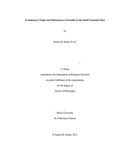 Evolutionary Origin and Maintenance of Sociality in the Small Carpenter Bees