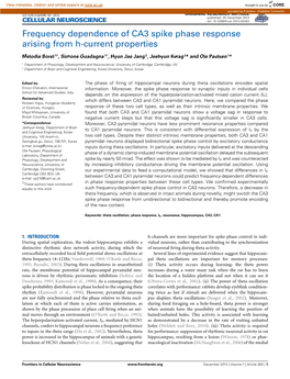 Frequency Dependence of CA3 Spike Phase Response Arising from H-Current Properties