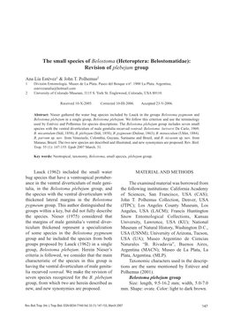 The Small Species of Belostoma (Heteroptera: Belostomatidae): Revision of Plebejum Group