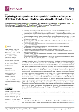 Exploring Prokaryotic and Eukaryotic Microbiomes Helps in Detecting Tick-Borne Infectious Agents in the Blood of Camels