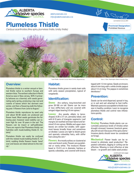 Plumeless Thistle Is a Winter Annual Or Bien- Plumeless Thistle Grows in Sandy-Loam Soils About 1.5 Cm Long