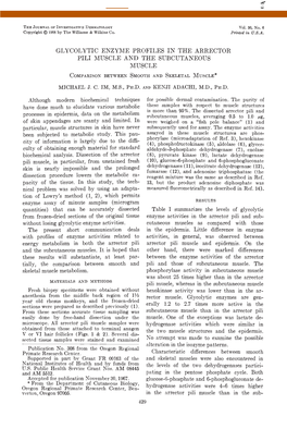 Glycolytic Enzyme Profiles in the Arrector Pili Muscle and The