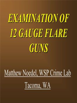 Flareflare Gunsguns