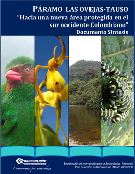 Declaratoria Del “Parque Natural Regional Páramo Las Ovejas-Tauso” CORPONARIÑO Documento Sintesis