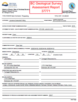 BC Geological Survey Assessment Report 37771