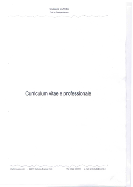 Curriculum Vitae E Professionale