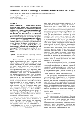 Distribution Pattern & Phenology of Platanus Orientalis Growing In