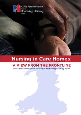 Nursing in Care Homes: a View from the Frontline