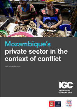 Mozambique's Private Sector in the Context of Conflict
