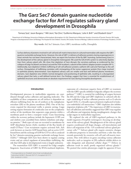 The Garz Sec7 Domain Guanine Nucleotide Exchange Factor for Arf Regulates Salivary Gland Development in Drosophila