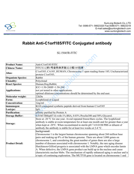 Rabbit Anti-C1orf185/FITC Conjugated Antibody