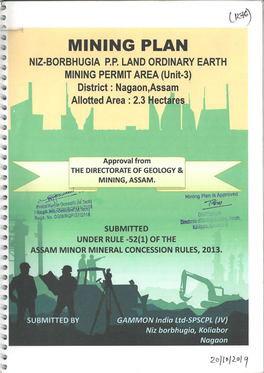 Mining Plan Niz-Borbhugia P.P