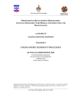 Cross-Shore Sediment Processes