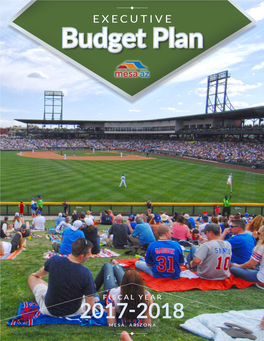 FY 2017-18 Executive Budget Plan