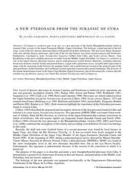 A New Pterosaur from the Jurassic of Cuba