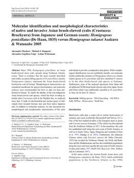 Molecular Identification and Morphological Characteristics Of