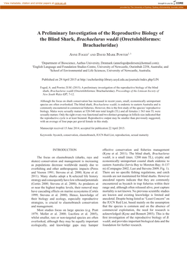 A Preliminary Investigation of the Reproductive Biology of the Blind Shark, Brachaelurus Waddi (Orectolobiformes: Brachaeluridae)