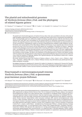 The Plastid and Mitochondrial Genomes of Vavilovia Formosa (Stev.) Fed