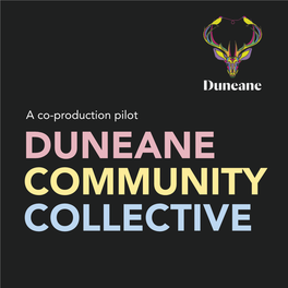 Co-Production Pilot DUNEANE COMMUNITY COLLECTIVE CONTENTS