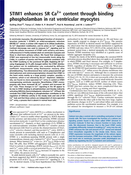 STIM1 Enhances SR Ca Content Through Binding Phospholamban In